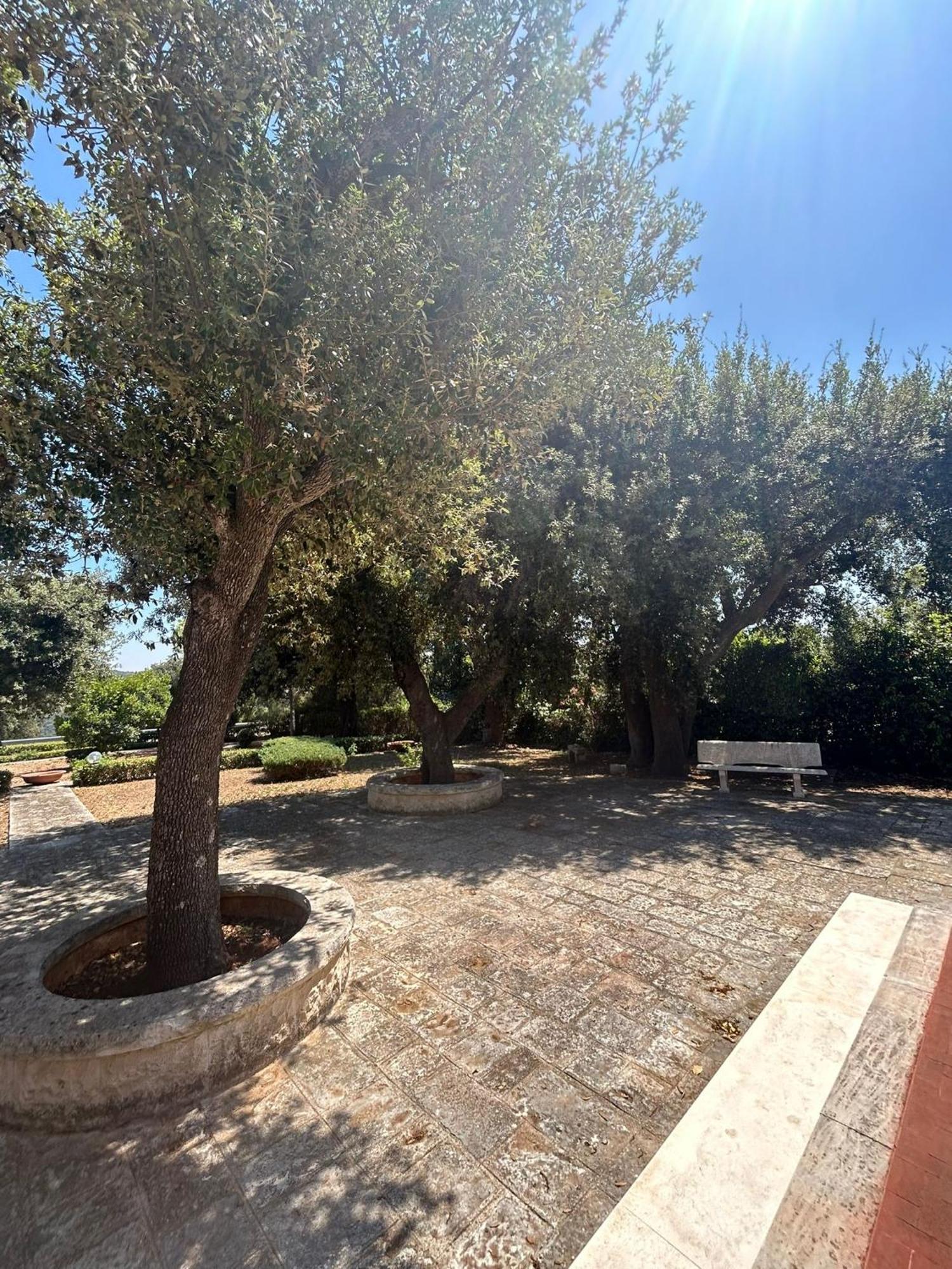 Villa San Michele By Sthey Impalata Bagian luar foto