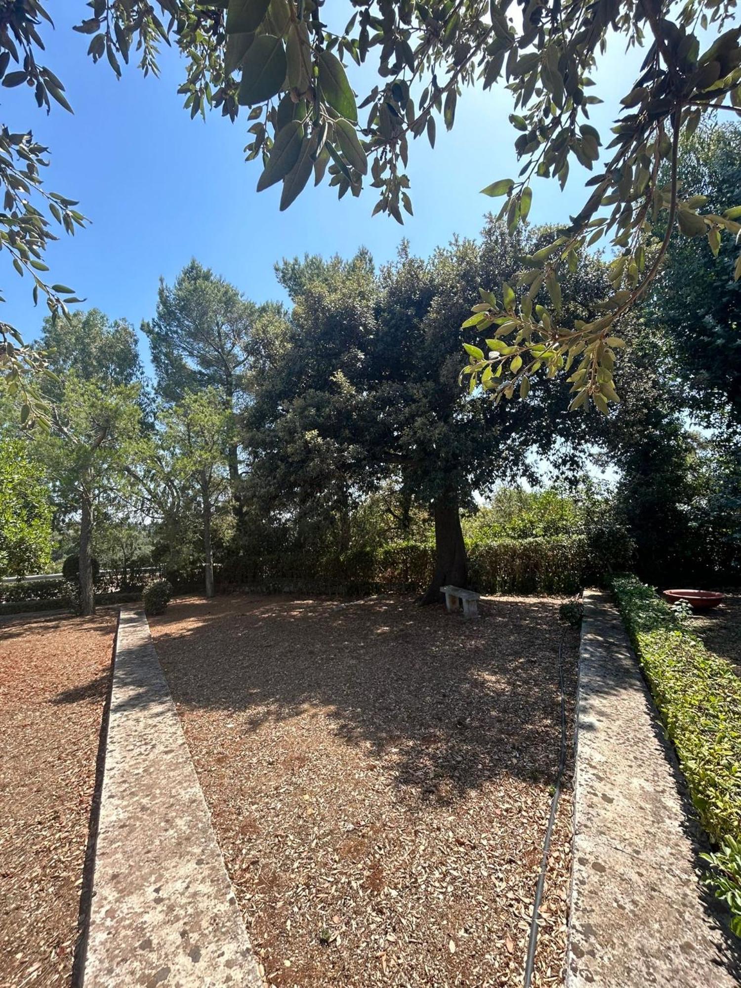 Villa San Michele By Sthey Impalata Bagian luar foto