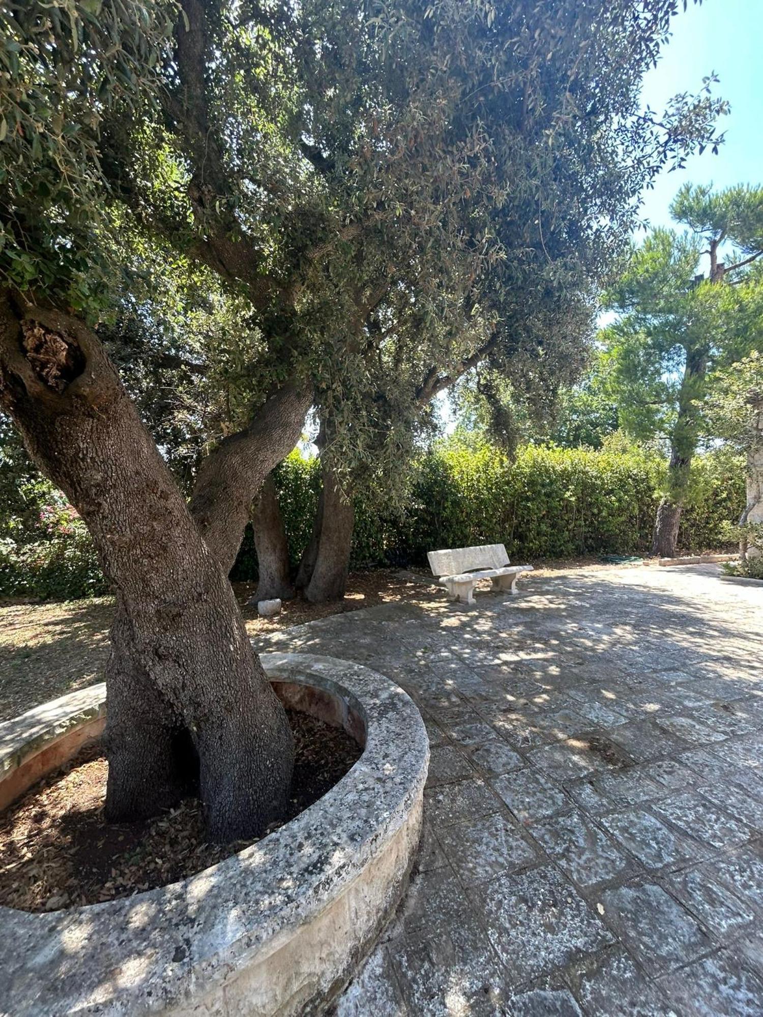 Villa San Michele By Sthey Impalata Bagian luar foto