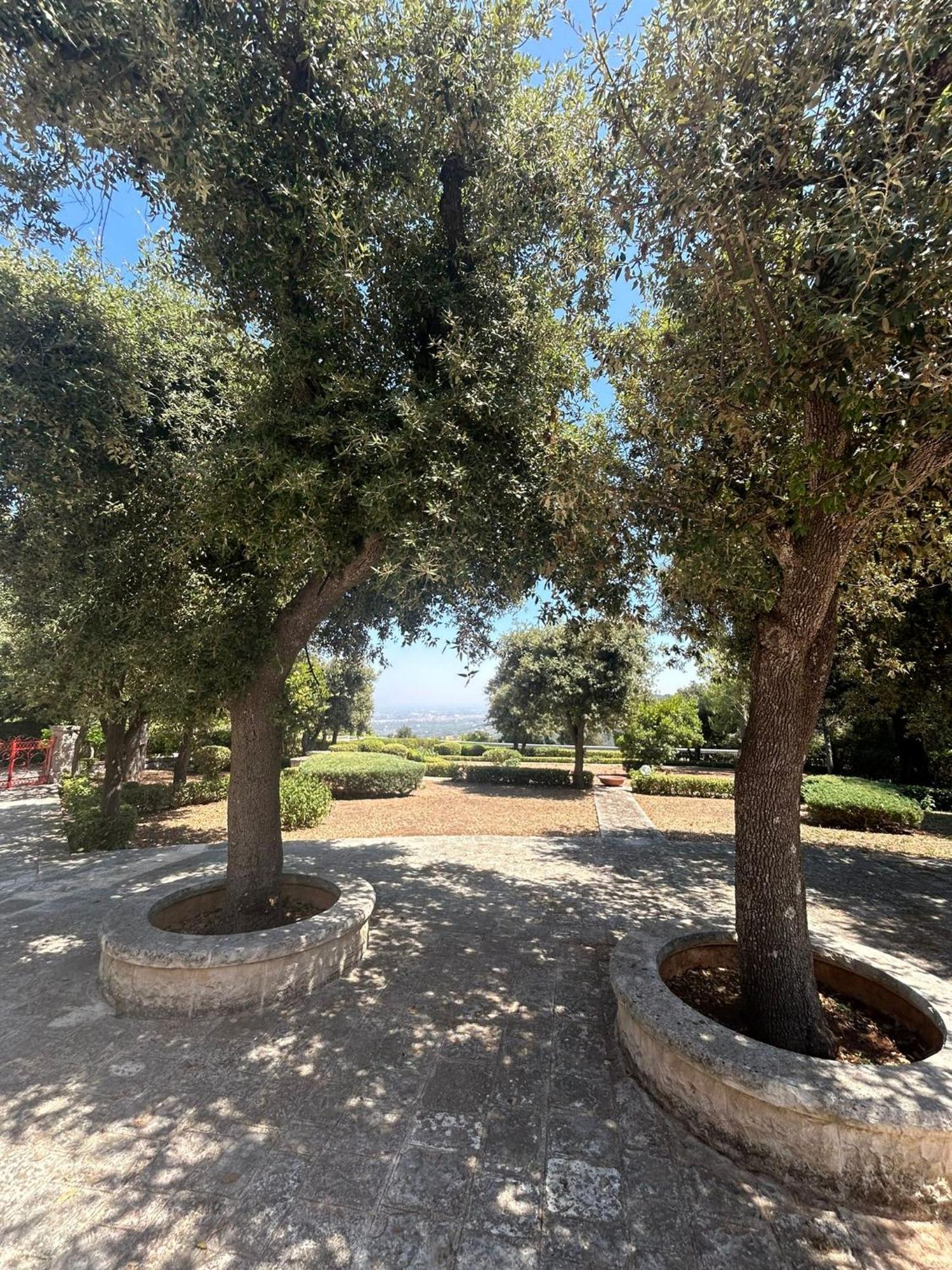 Villa San Michele By Sthey Impalata Bagian luar foto
